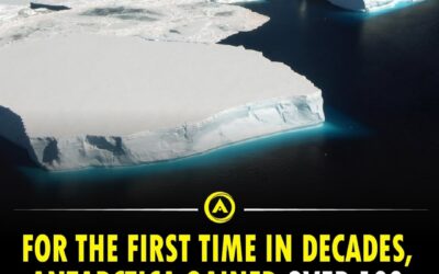 Jahresrückblick 2025