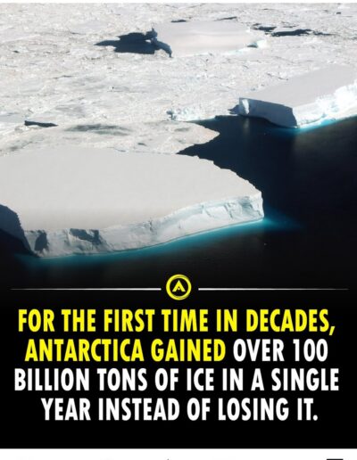 Antarctica gains ice 2025