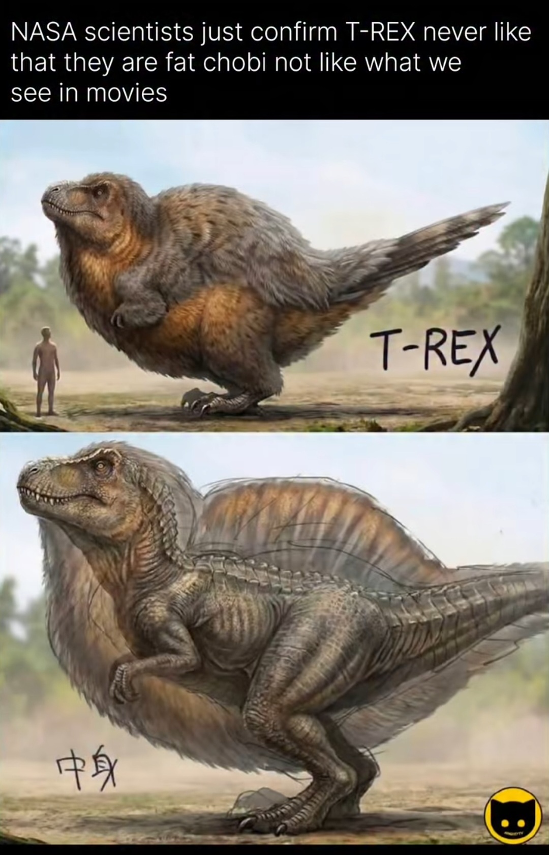 Dinosaurier schauen so aus!